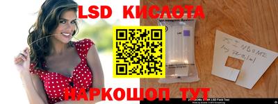 прущие грибы Краснодар