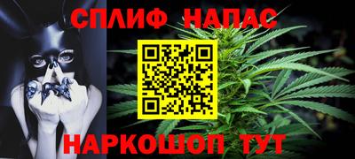 прущие грибы Краснодар