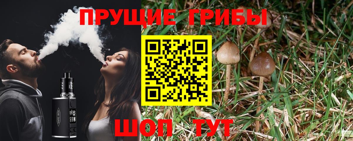 Галлюциногенные грибы мицелий Казань